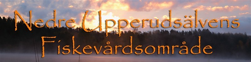 NedreUpperudsälvens Fvo